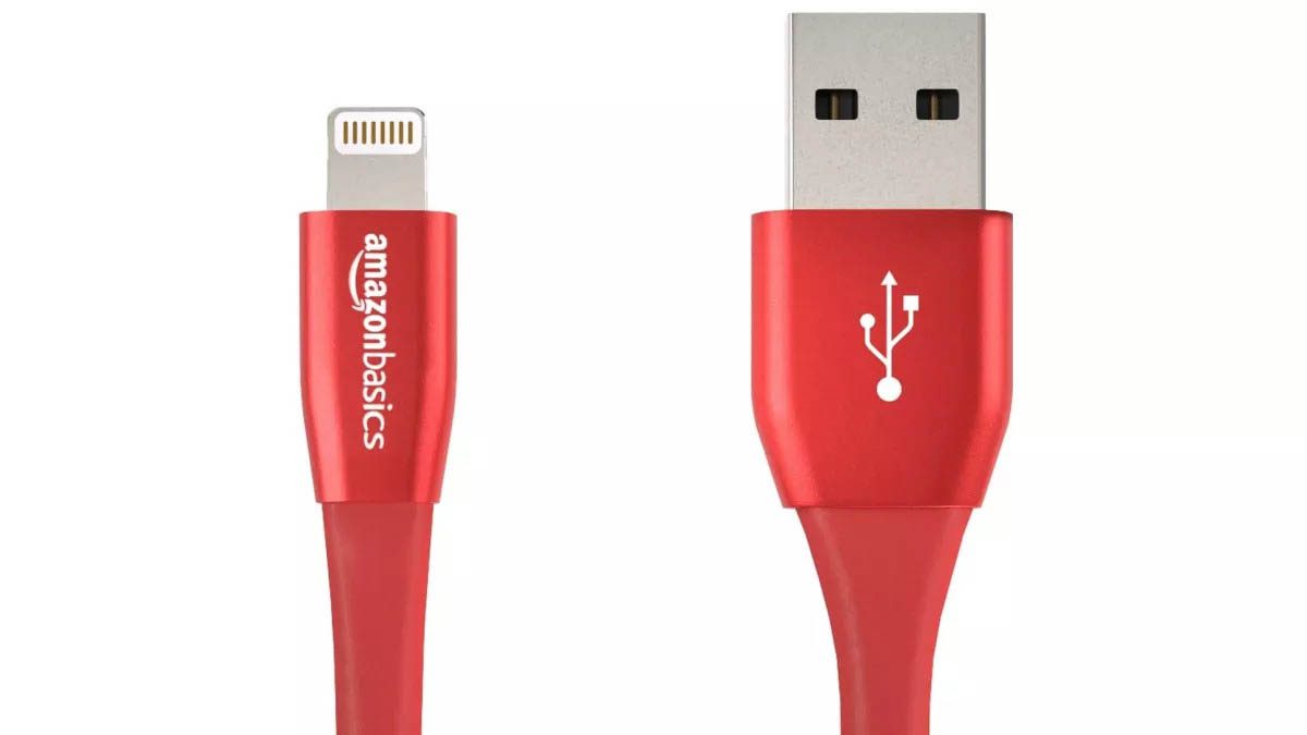 iPhone charger cable price